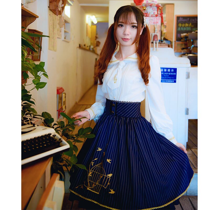 Skirt Vintage Style Striped A Line Skirt with Cage Embroidery