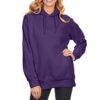 Pullover Hoodies Oversized Sweater Reg and Plus Size Sweatshirts