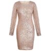 Sparkly V Neck Long Sleeve Bandage Bodycon Mini Dress