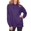 Pullover Hoodies Oversized Sweater Reg and Plus Size Sweatshirts